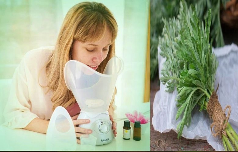 ما هي تأثيرات ساونا الشيح على صحة وجمال البشرة؟