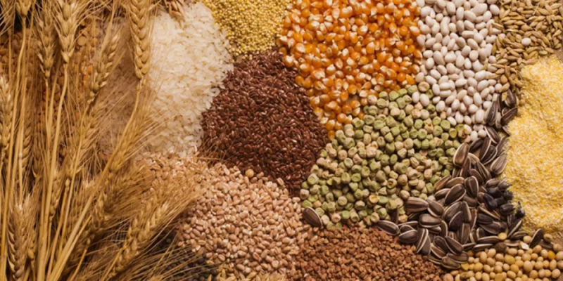 دمج الحبوب الكاملة مع الحبوب المكررة