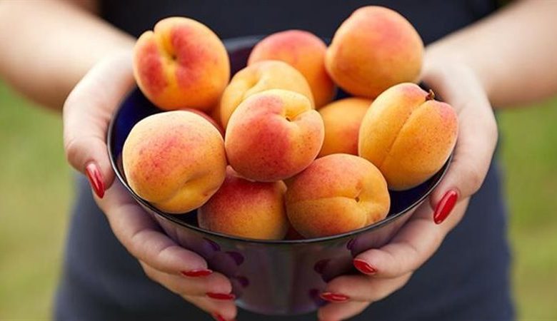 فوائد المشمش للصحة الجنسية للنساء