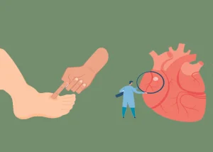 كيفية حدوث الوذمة في قصور القلب؟