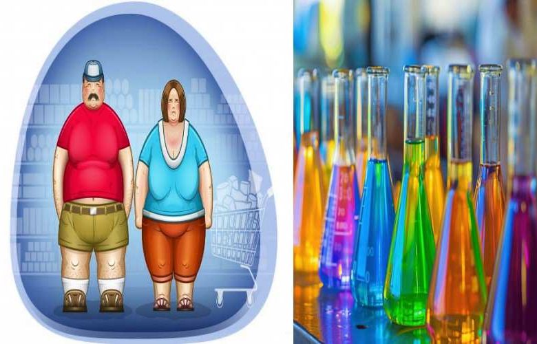 معلومات هامة عن المواد الكيميائية التي تزيد من مخاطر السمنة