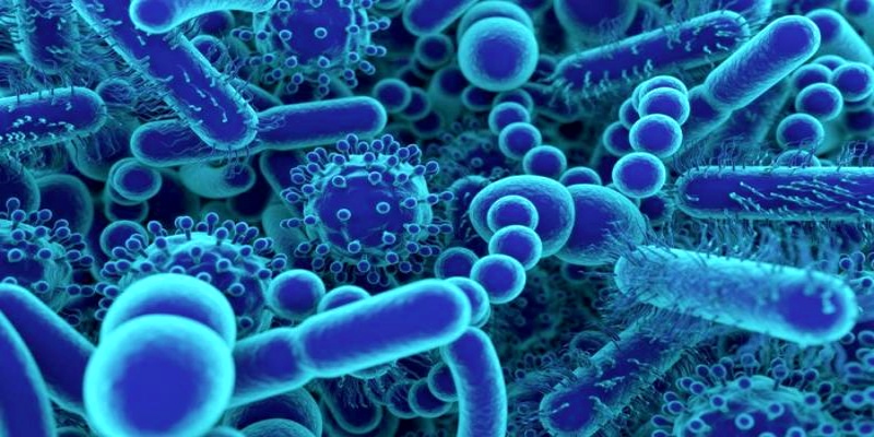 ميكروبيوم الأمعاء الحليف الصامت لآلية علاج السرطان