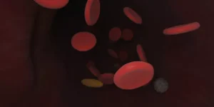 خلايا العدلات