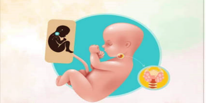 ماذا نعني بقصور الغدة الدرقية الخلقي عند الأطفال؟