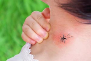 أعراض حمى الضنك بدون حرارة