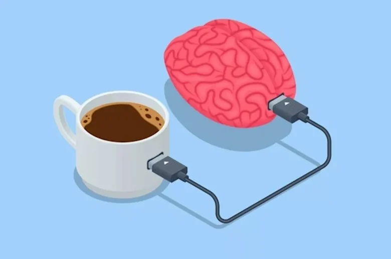 تأثيرات القهوة على الدماغ