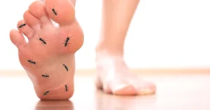 علامات تحذيرية تعكس خطورة التنميل
